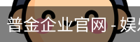 普金企业官网